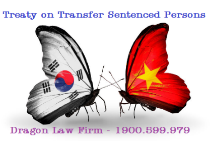 Dragon Law_Transfer Sentenced Person