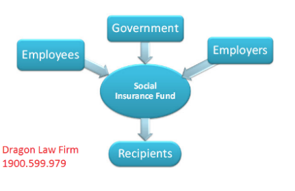 Dragon Law_Social Insurance