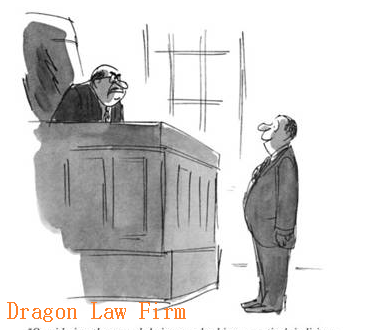 Dragon Law_Legal Profession