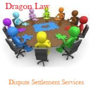 Dragon Law_Company dispute solution