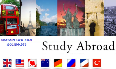 Dragon Law_Study abroad service