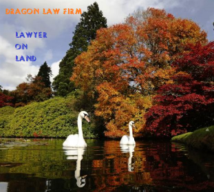 Dragon Law_Lawyer on land administrative procedure