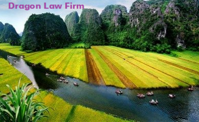 Dragon Law_best company in sales contract in vietnam