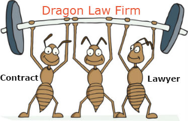 Dragon Law_famous law firm in Vietnam in contract